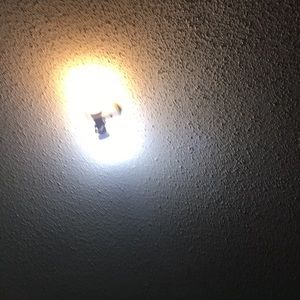 Meet your Posher, Mikal